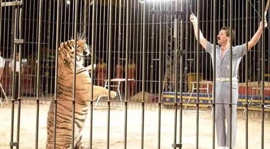Najpoznatiji krotitelj tigrova umro u mukama nakon što je cirkuska tačka pošla krivo