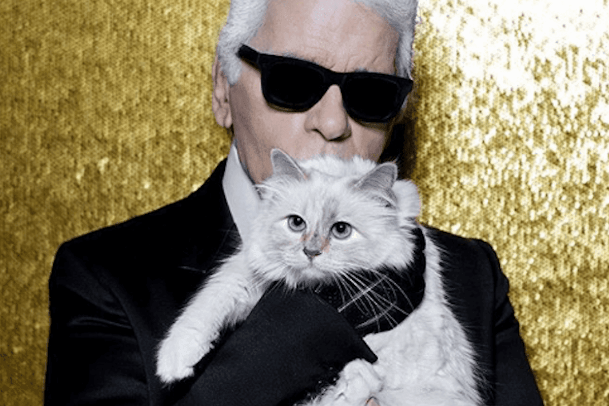 Gdje je nestala Lagerfeldova mačka Šupet