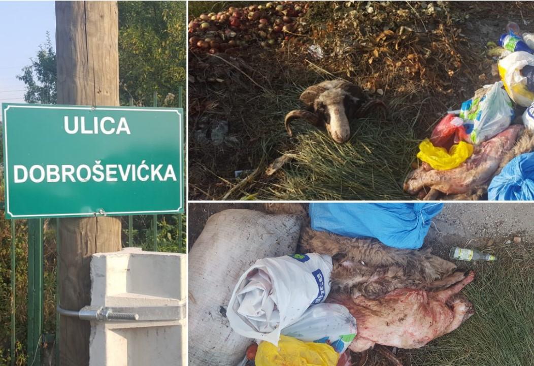 I pored upozorenja: Ostaci kurbana pronađeni pored kontejnera u naseljima Bojnik i Dobroševići