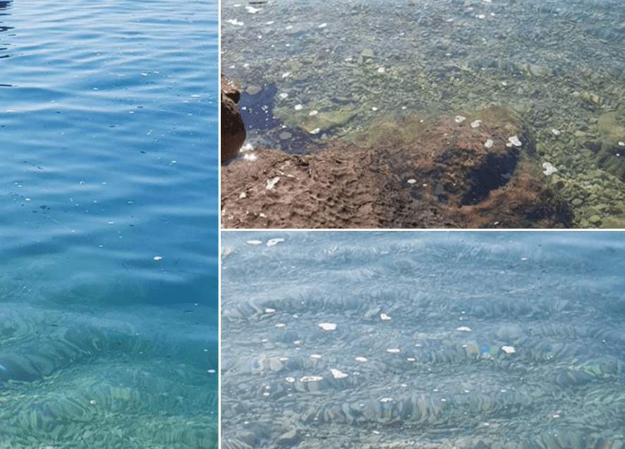 Tučepi: More prljavo, turisti ogorčeni