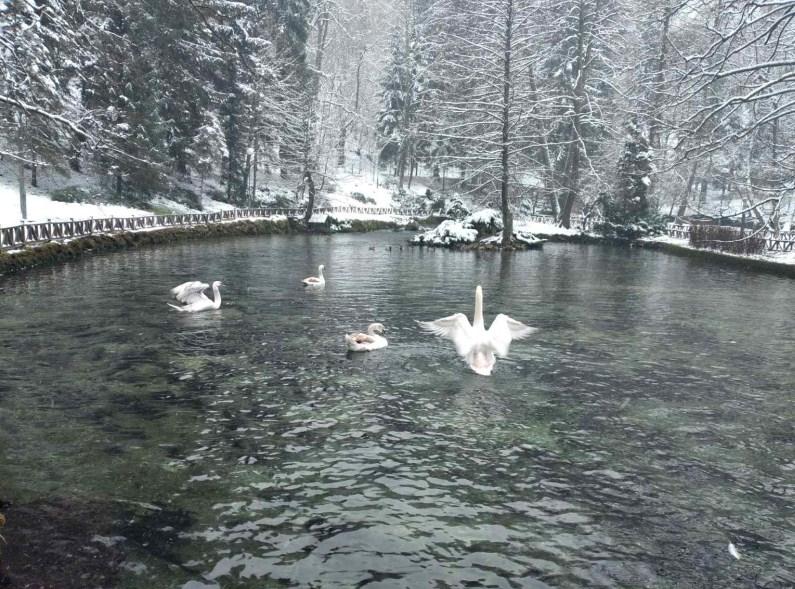 Očaravajuća zimska idila na Vrelu Bosne i u Pionirskoj dolini