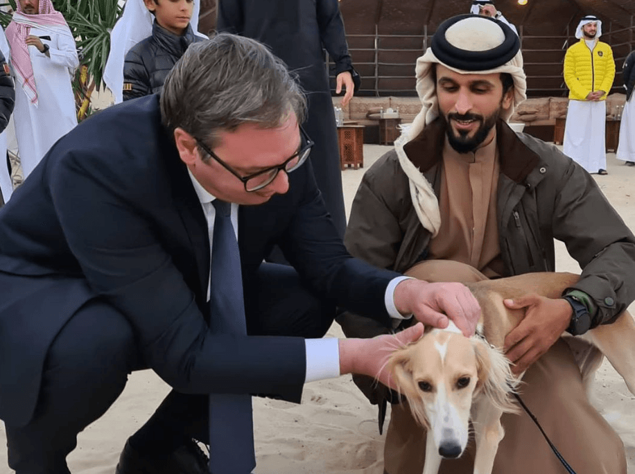 Vučić: Nezaboravno popodne u pustinji, vidio sam i poznatu rasu bahreinskih pasa