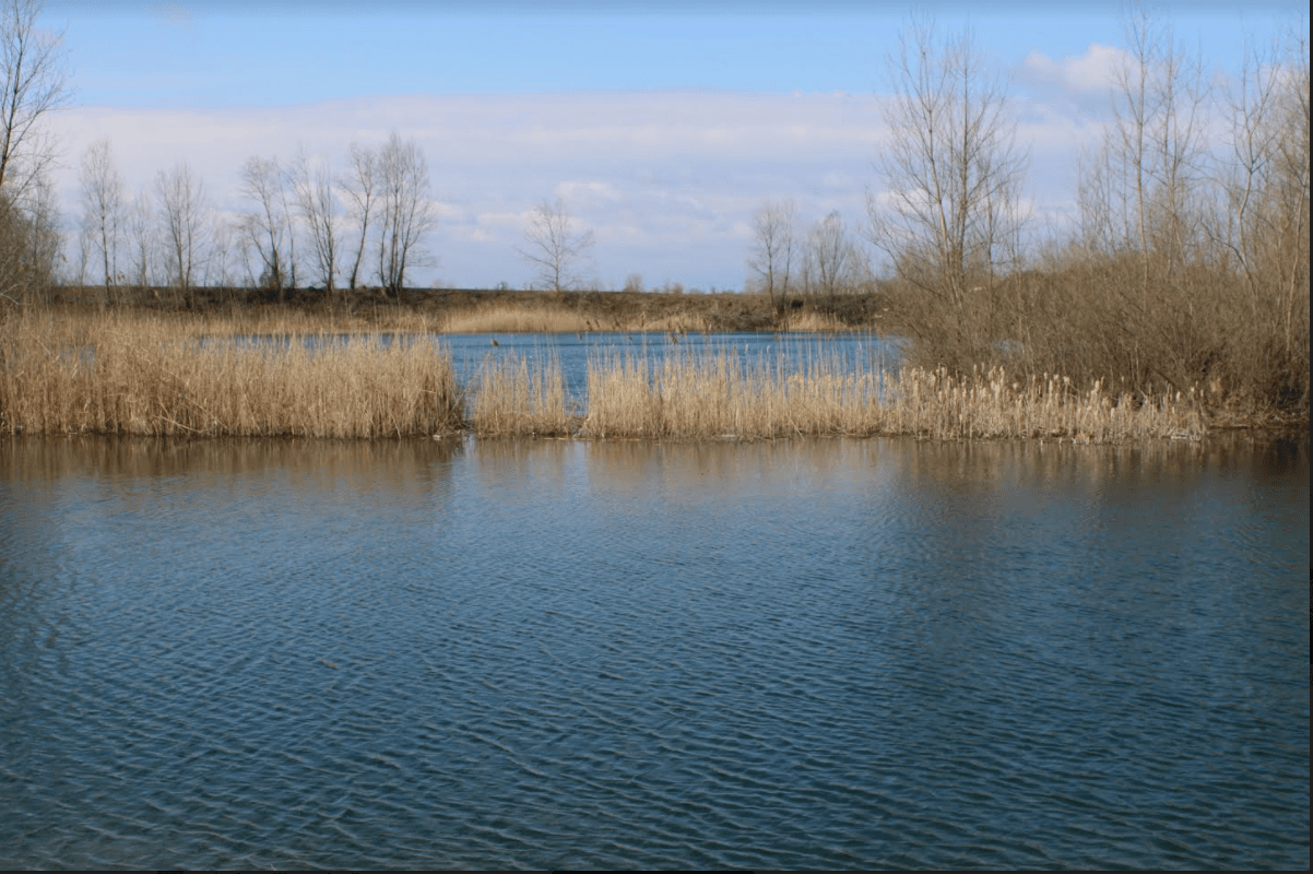 „Švapska ada“ kod Bijeljine: Zaštićeni ribolovački revir - Avaz