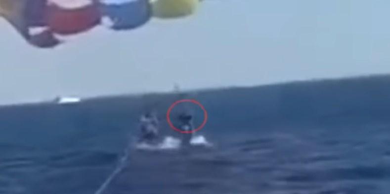 Zastrašujući snimak: Ajkula iskočila iz vode i otkinula čovjeku dio noge