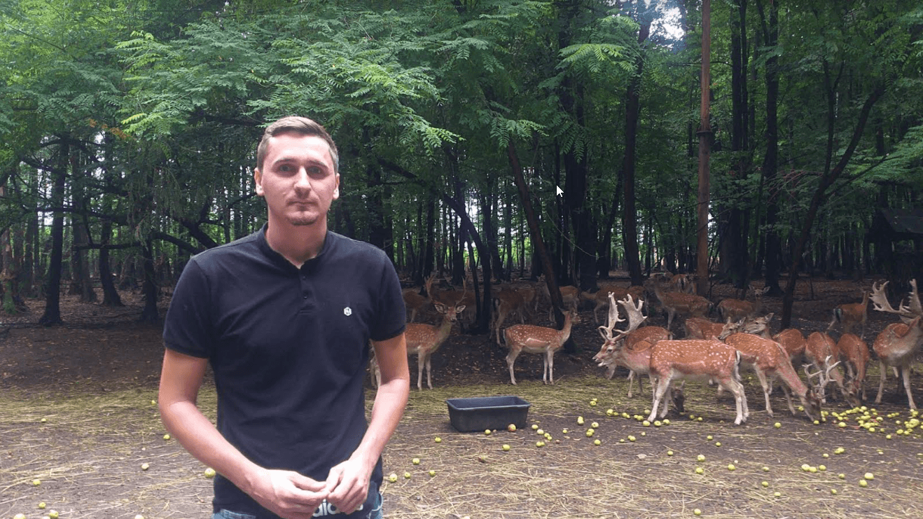 Jedino uzgajalište jelena u BiH: Htjeli da ih love, a danas ih uzgajaju i privlače brojne posjetioce
