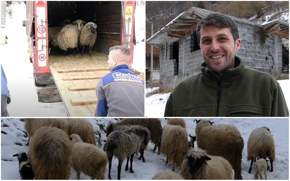 Akcija dobrih ljudi mu vratila volju za životom: Husein ima novo stado ovaca