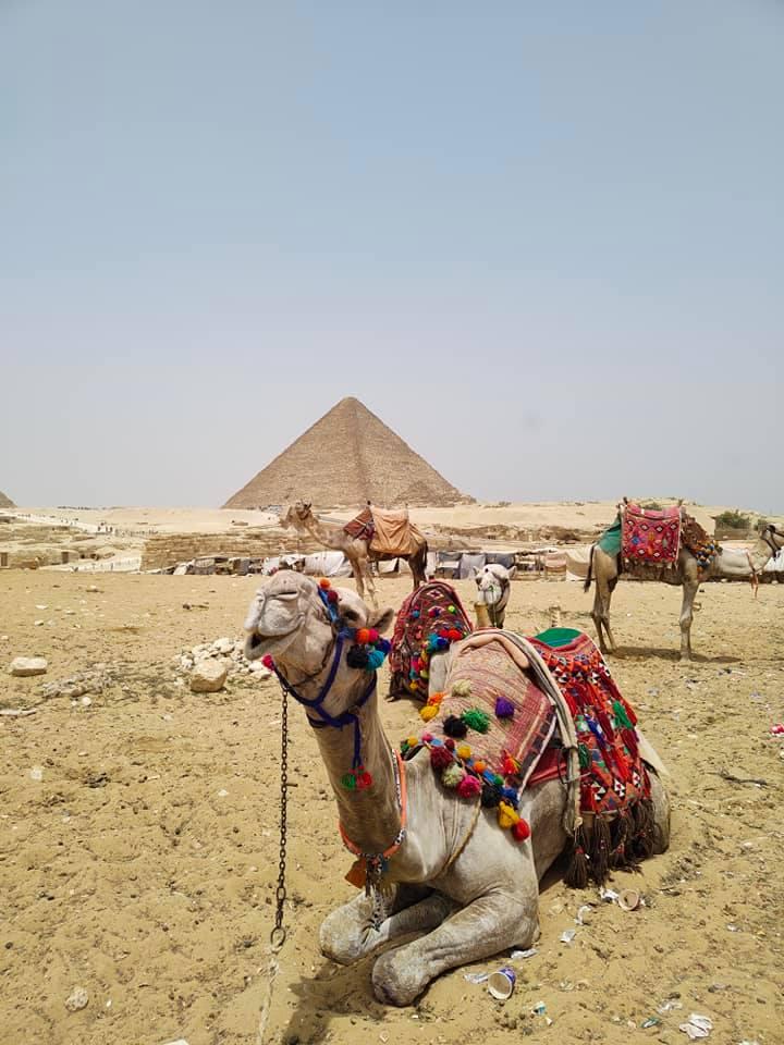 Giza: Piramide svakodnevno obilaze turisti iz cijelog svijeta - Avaz