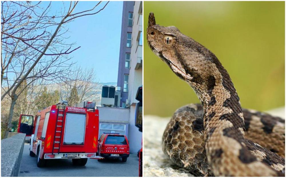 Mostar: Vatrogasci pola sata izvlačili zmiju ispod haube automobila