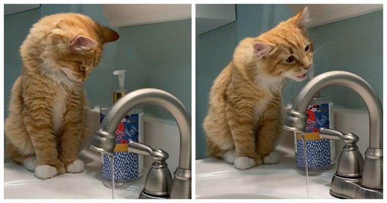 Mačak polizao tečni sapun za ruke, reakcija je urnebesna