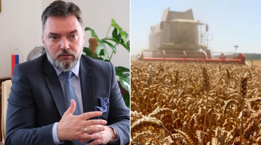 Poljoprivrednici nezadovoljni: Hoće li doći do privremene zabrane uvoza pšenice