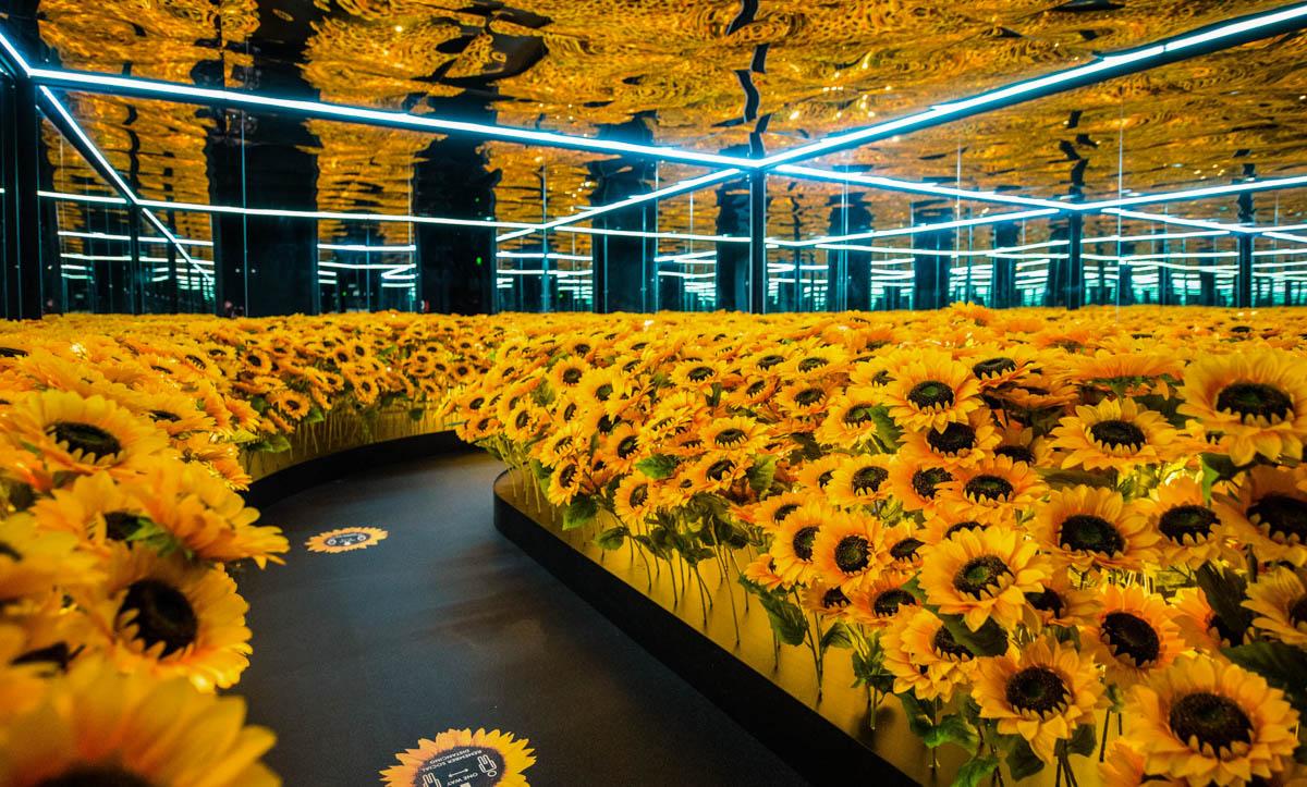 Znate li u kojem je muzeju postavljeno 125.000 suncokreta?
