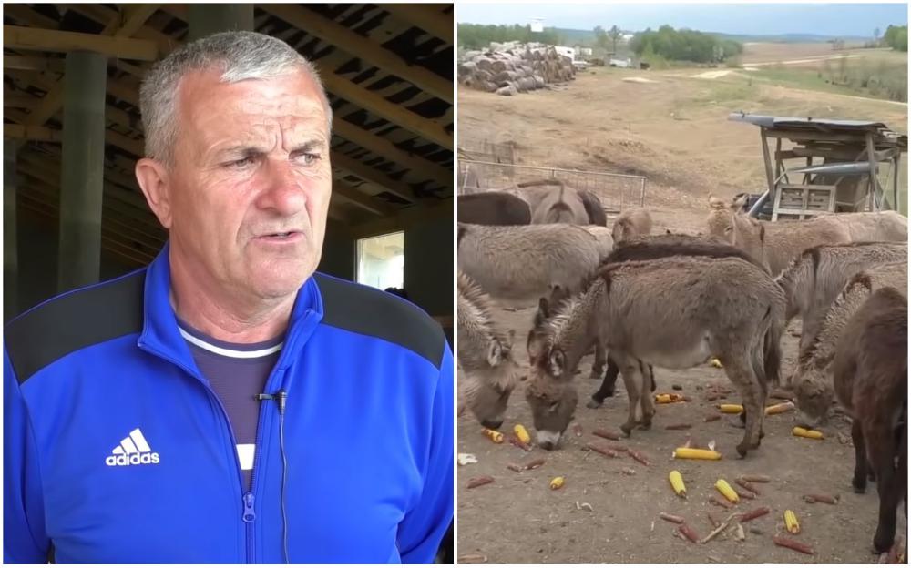 Poljoprivredniku iz Cazina psi napali magarce: "Niko ne reaguje, nemam više snage"
