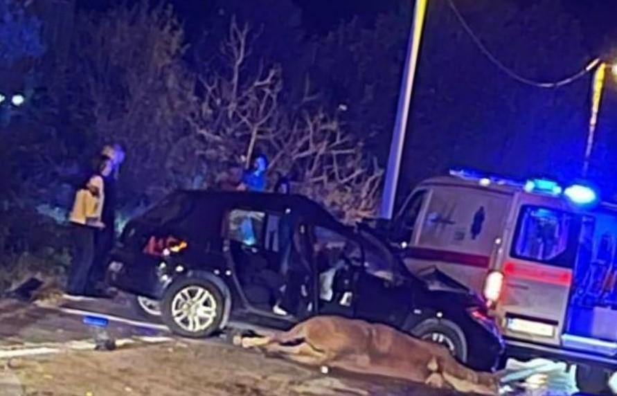Nesreća kod Mostara: U sudaru automobila i konja poginula majka fudbalera Borca