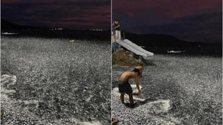 Ljudi šokirani bizarnim prizorom na plaži: Pogledajte šta je more počelo izbacivati na obalu