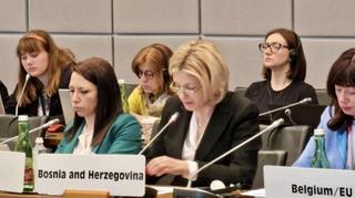 Članice OSCE-a podržale izvještaj Misije u BiH, evropske integracije i osudile postupke iz RS-a