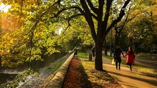 Sarajevo u jesenjem ruhu: Parkovi i ulice u zlatnožutoj boji