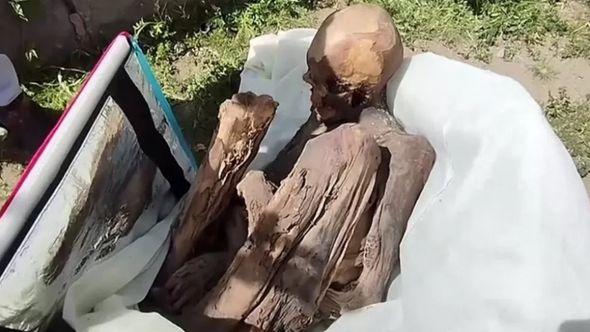 Pronađena mumija  - Avaz
