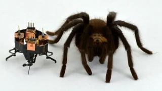 Robot nalik pauku mijenja oblik: Velika pomoć u potragama i spašavanju