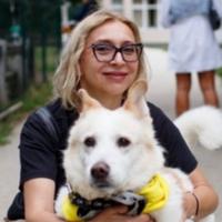 Sanja Bianculli iz "Dogs Trusta" za "Avaz": Sve više pasa lutalica na ulicama
