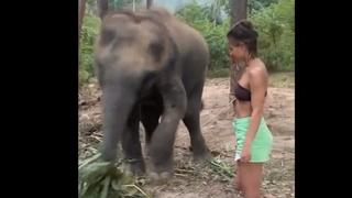 Prišla slonu da se slika, pa zažalila: Ništa od selfija za vrijeme ručka