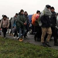 Srbija: Policija pronašla 371 neregularnog migranta kod Subotice, Sombora i Kikinde