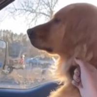 Video psa koji se duri jer je dobio sestru postao viralan: Ne želi gledati u vlasnicu