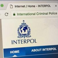 Interpol izveo operaciju "Šakal": "Čistka" internet kriminalnih grupa
