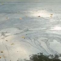 Nova ekološka katastrofa u Zenici: Nepoznati zagađivač ispušta mazut u rijeku Bosnu