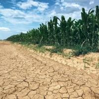 Mnogim zemljama prijeti suša: Evo šta čeka Evropu