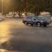 Oluja u Kaliforniji: Poginulo najmanje pet osoba 