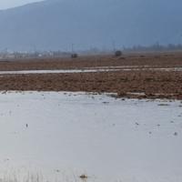 Video / Opet poplavljene oranice u Bojniku: Voda skoro stigla do puta