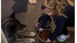Djevojčica je iznijela psima posude s hranom, ali nema obroka dok ovo ne urade