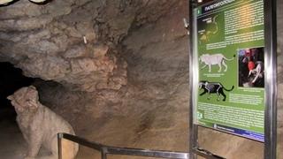 Pećinski lav bio je najopasniji predator Evrope, ali za jednu vrstu bio je plijen: Šokantno otkriće u Njemačkoj
