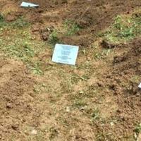 U Bratuncu ekshumirani posmrtni ostaci osoba 