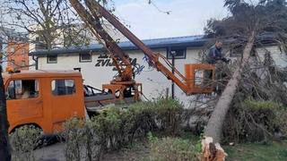 Nadležne službe uklanjaju porušena stabla u Banjoj Luci