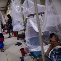Bangladeš: Preko 300 smrtnih slučajeva od denga groznice