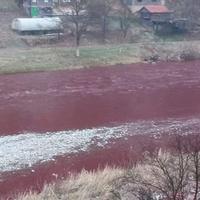 Federalna vodna inspekcija na terenu zbog zagađenja rijeke Bosne