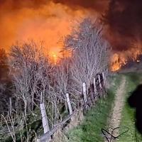 Vatrogasci se bore sa požarima na Romaniji, sumnja se da su podmetnuti