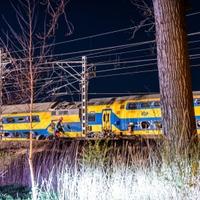 Među stradalima u željezničkoj nesreći u Nizozemskoj nema državljana BiH