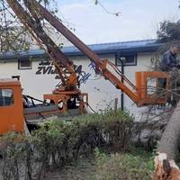 Nadležne službe uklanjaju porušena stabla u Banjoj Luci