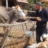Amer Beganović spasio stotine životinja od sigurne smrti: Što se više družim sa životinjama, sve manje volim ljude