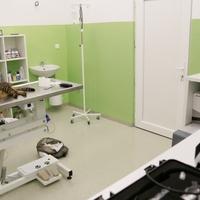 U Sarajevu otvoren Urgentni centar za hitnu pomoć životinjama