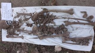 U Ugljeviku ekshumirani kompletni posmrtni ostaci jedne žrtve proteklog rata 
