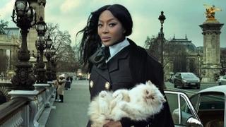 Mačka pokojne zvijezde modne industrije na naslovnici “Voguea”