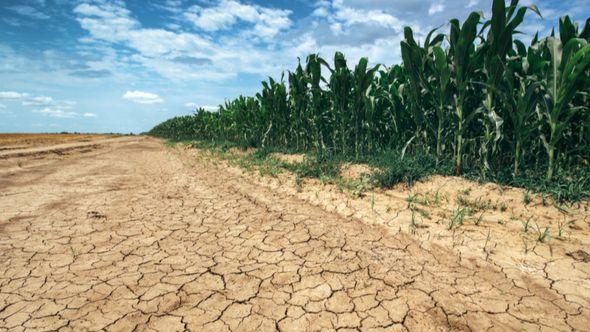 Mnogim zemljama prijeti suša - Avaz
