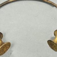 Radnik vodovoda došao popraviti cijevi, pa našao blago: Zlatne ogrlice stare 2.500 godina