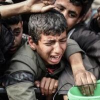 UN: Pojas Gaze za šest sedmica bez hrane
