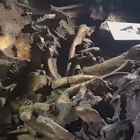 Tokom izgradnje pruge pronađena grobnica Maja: Pećinu krila ogromna stijena