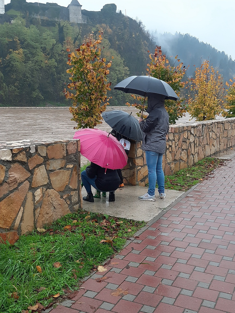 Mirsad Mahmutagi Nivo Bosne U Blagom Opadanju