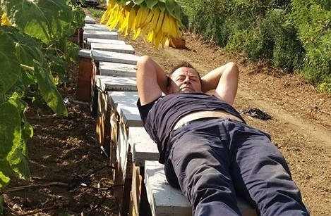 AH MERAKA U PČELINJAKU! SLAVIŠA OD KOŠNICA NAPRAVIO KREVET